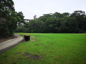 58CD7B17 1EF0 4E36 8553 EA25ACABE759 300x225