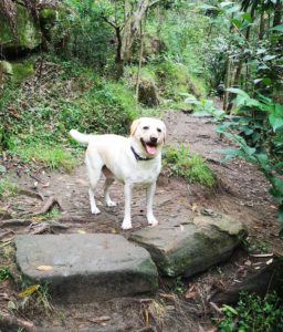 8373DCCD EF94 4FFF ABDD 3FC925B39D63 256x300