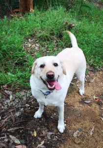 9BC0C39F BCC4 4178 ABB1 A1782FD43F04 210x300