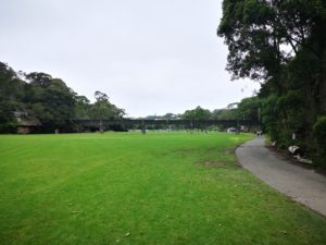 BA8B872C 4228 4EC3 8B6E 9DDFD9E4B93F 300x225