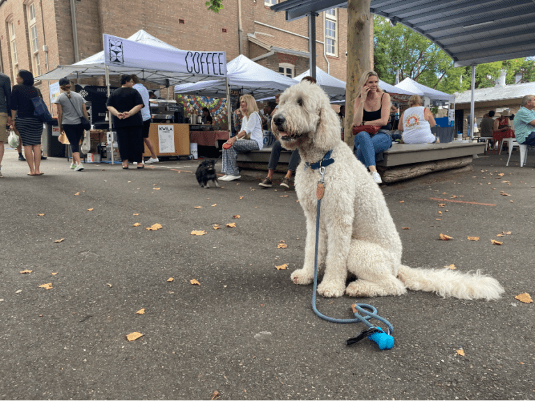 Paddo Markets 96 768x576