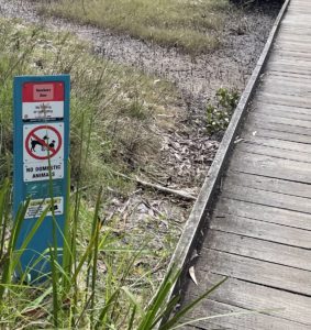 B20579A9 F763 4CC4 98BD C78F1F7BDE7B 283x300