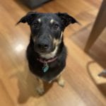 Tilly