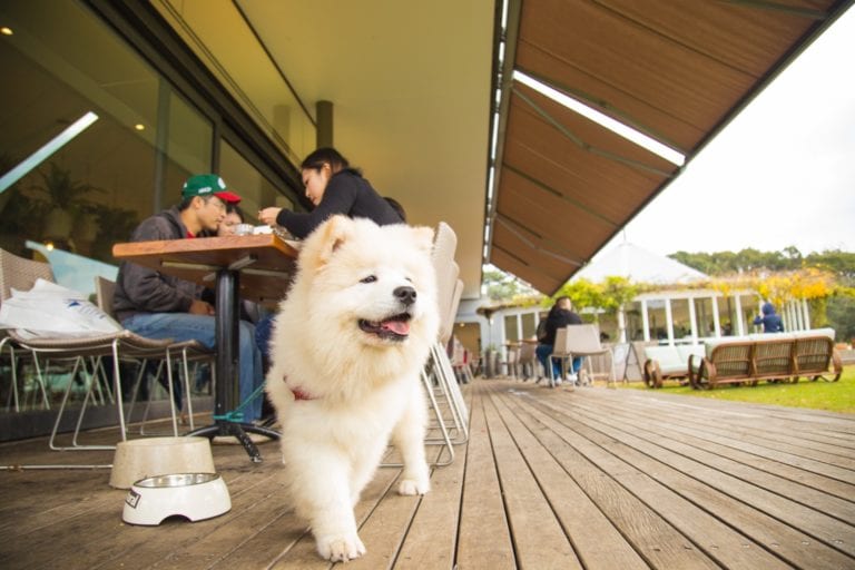 Centennial Homestead 9 768x512