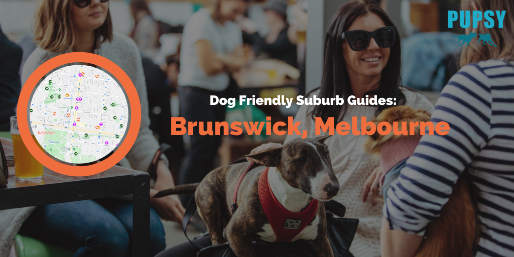 Dog Friendly Brunswick