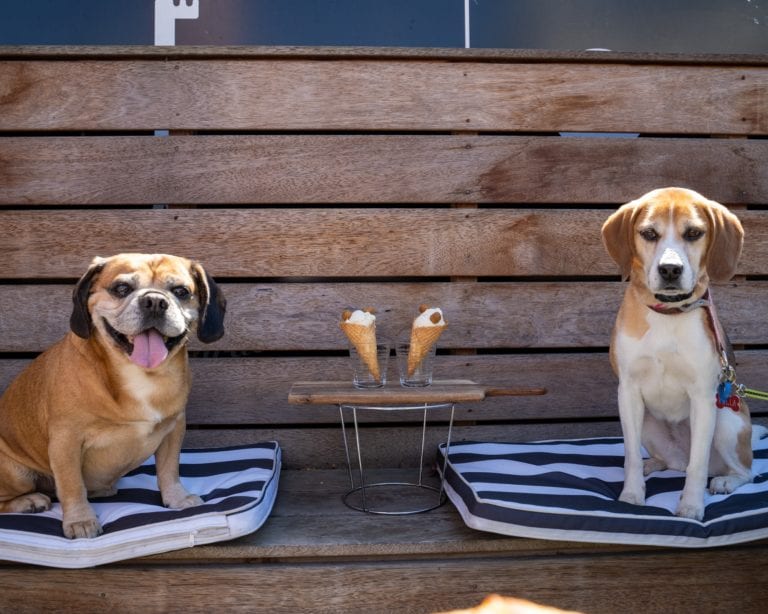 PBs Pizza Bar 5 768x614