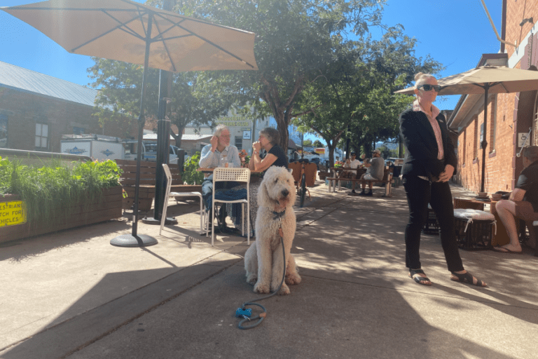 The Common Gloucester  768x512