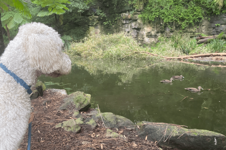 Trumpet park 2 96 1 768x512