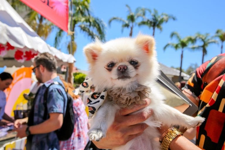 Watsons Bay Hotel 1 768x512