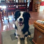 Murphy