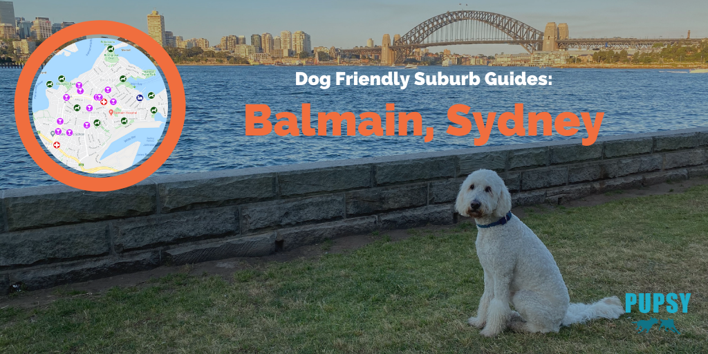 Dog-Friendly-Balmain-NEW