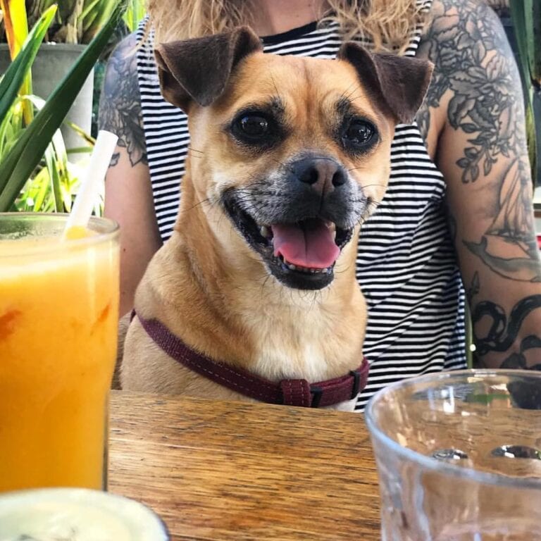 Karma Crow 3 768x768