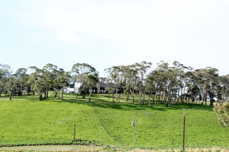 Mismatch Brewing Company 2 768x512