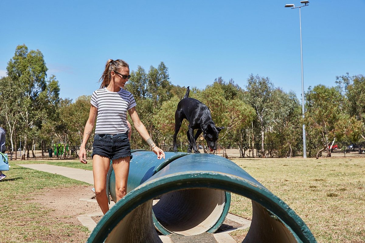 North Adelaide Dog Park