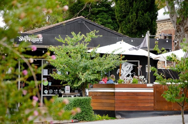 Shifty Lizard 1 768x509