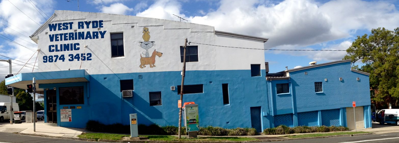 West Ryde Veterinary Clinic