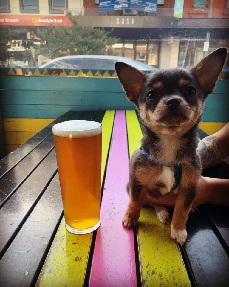 Yellow Bird 10 768x960