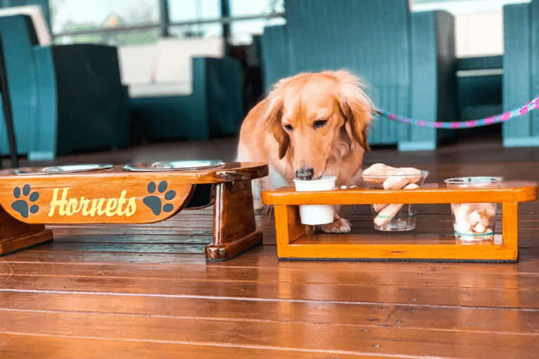 Aspley Hornets 69 768x512