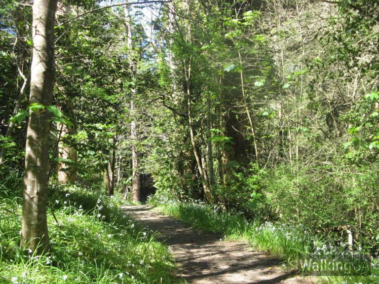 Crafers Circuit 768x576