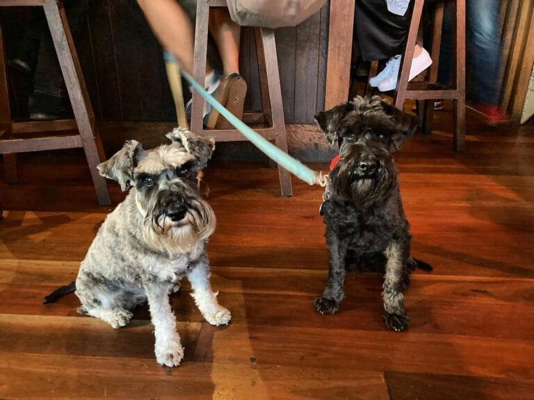 Hope Anchor 13 768x576