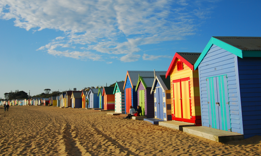 can you take dogs to brighton beach