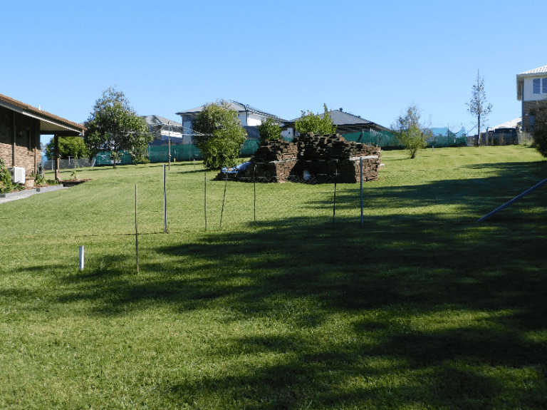 Sniffabout Training   Playground Photo 1 768x575