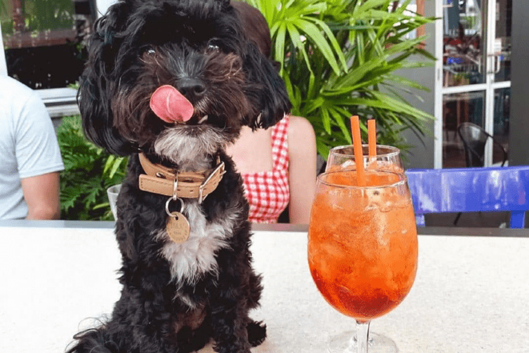 The Paddo 3 96 768x512