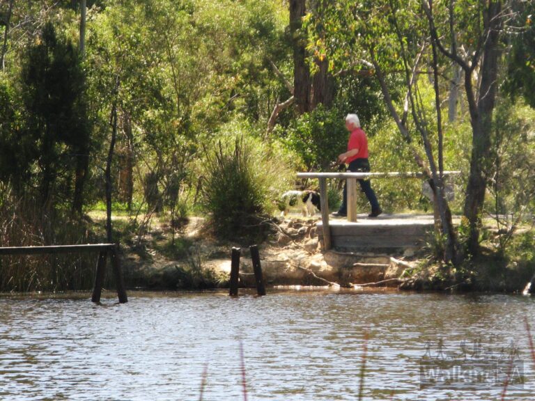 Woorabinda Bushland 768x576