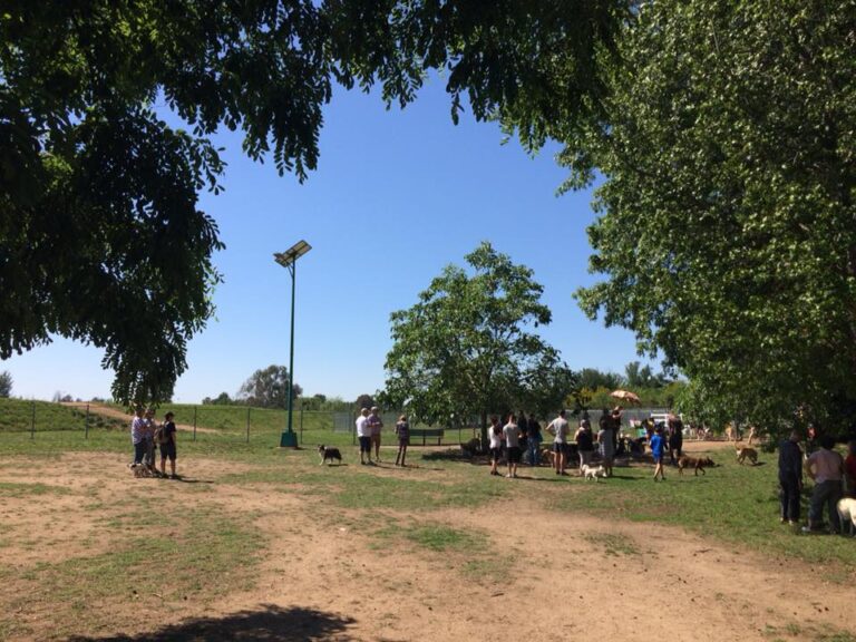 Bathurst Dog Park 768x576