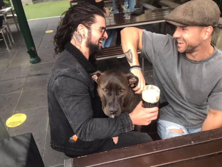 Bridie OReillys 1 768x576