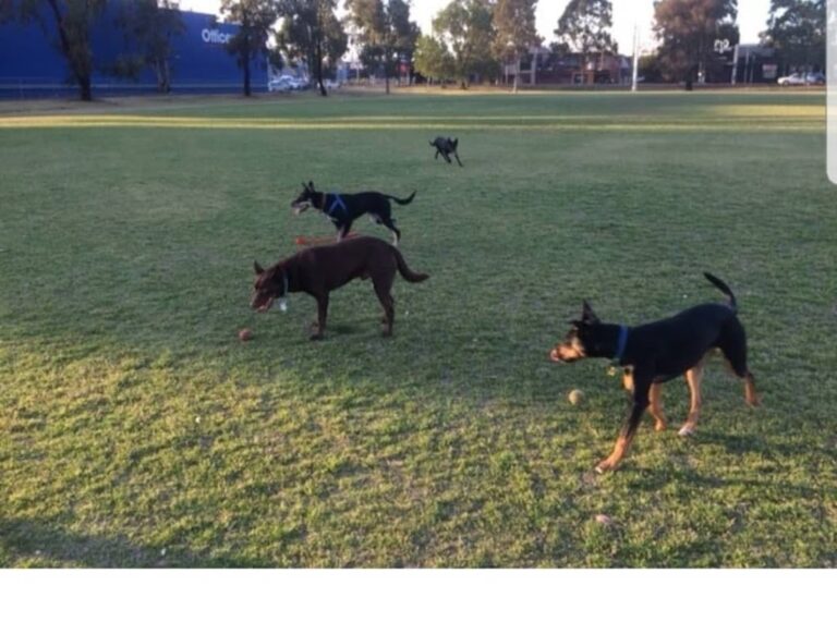 HLT Oulton Reserve 768x571