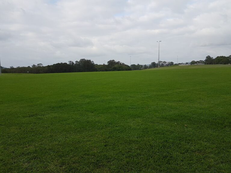 Hylton Moore Oval 768x576