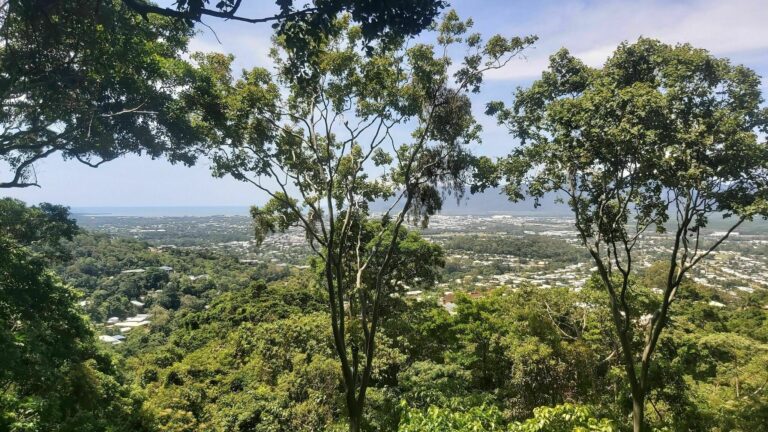 Ivan Evans Walk by Amy Wells 768x432