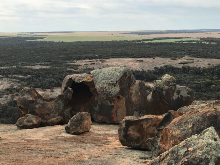 Kalari Track 768x576