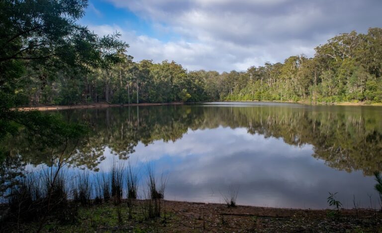 Karri Lake Trail 768x469