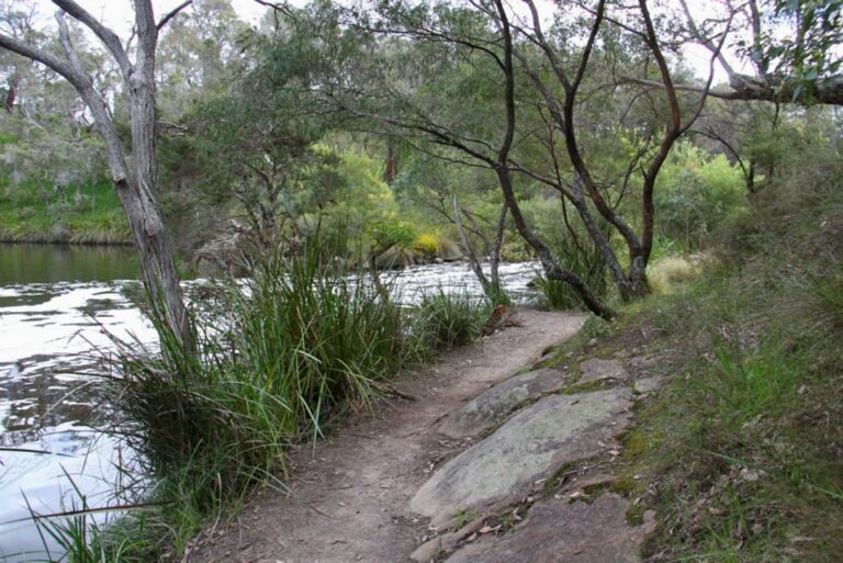 Luke Pen Walk 768x513