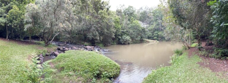 Petersons Creek by Nina Gracie 768x281