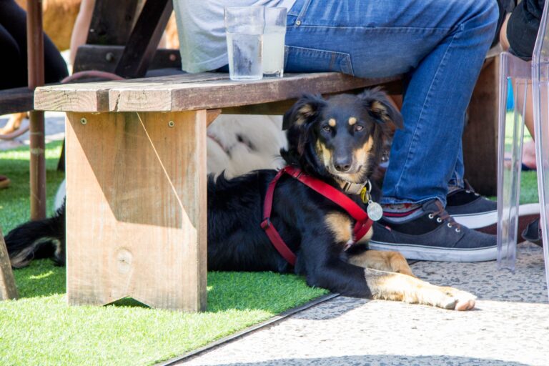 The Stohlberb 14 768x512