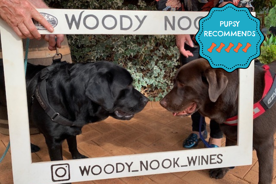 Margaret River Winery Tours, Dog Friendly