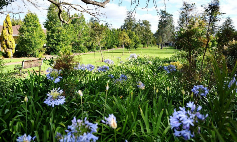 Alf Smedley Reserve 1 106 768x461