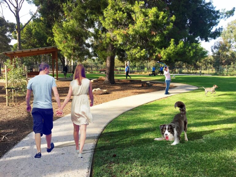 Hazelmere Road Reserve 768x576