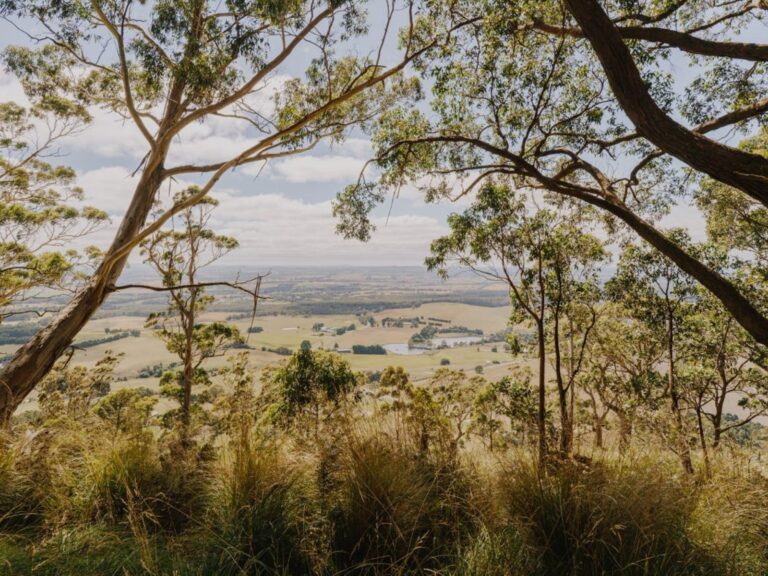 Mount Buninyong 768x576