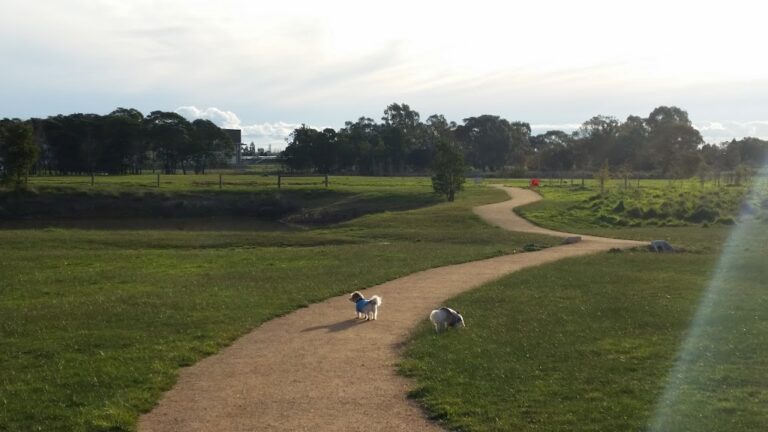 Pioneer Park 768x432