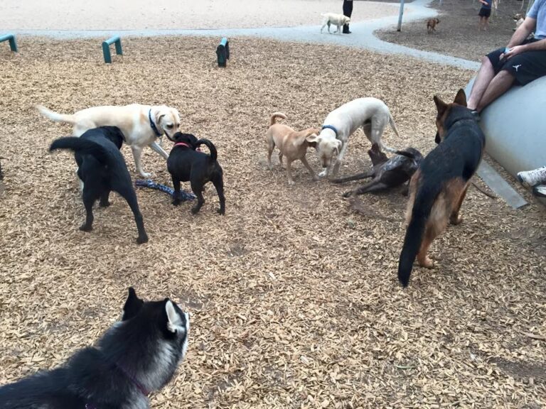 Tedder Reserve 2 768x576