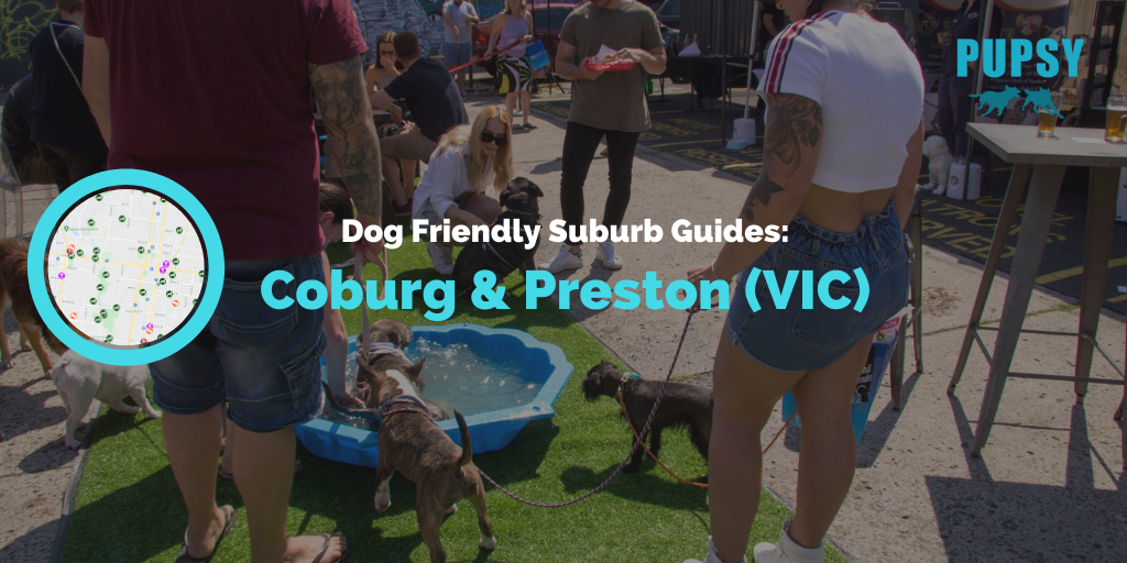 dog-friendly-Preston-and-Coburg