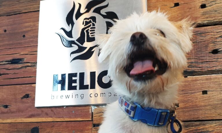 Helios 1 106 768x461