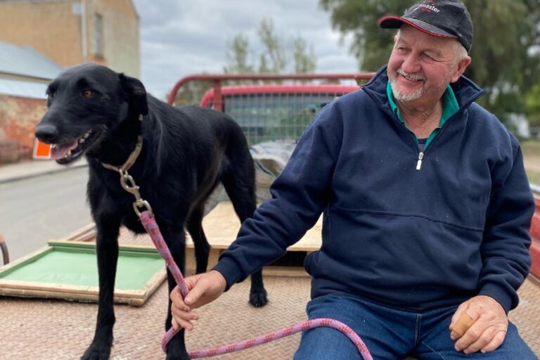 Talbot Farmers Market 1 9 6 768x512