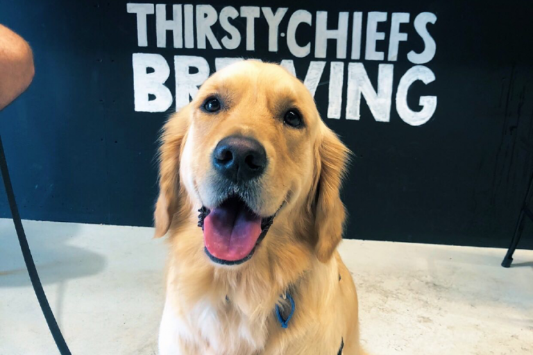 Thirsty Chiefs 1 96 768x512