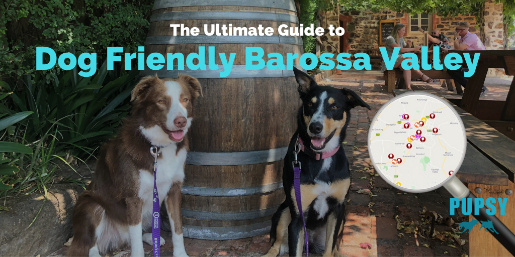 dog-friendly-barossa-valley