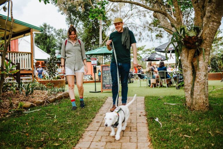 Maleny Hotel 2 768x513